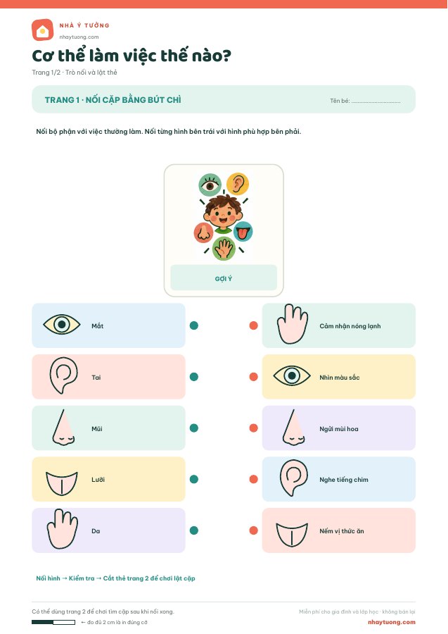 Cơ thể làm việc thế nào?